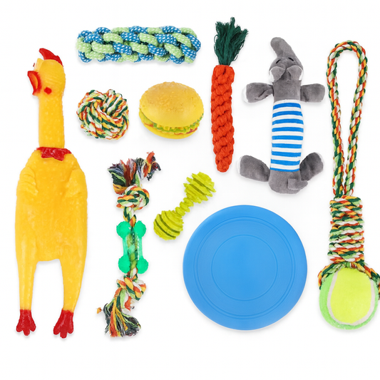 Set 10 Juguetes Para Mascotas
