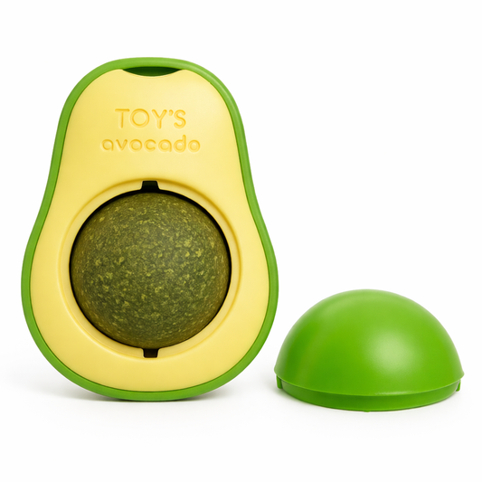 Panta Hierba Gatera Cat Nip